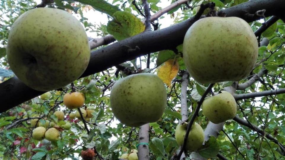 Вилна Зона Златни Пясъци, Спирка Ален Мак Warna Zewnętrze zdjęcie